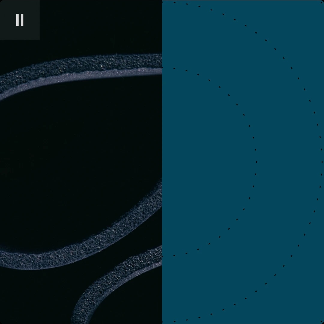 A split-screen image with a close-up of a textured, curved object on the left and a blue background with dotted lines on the right.