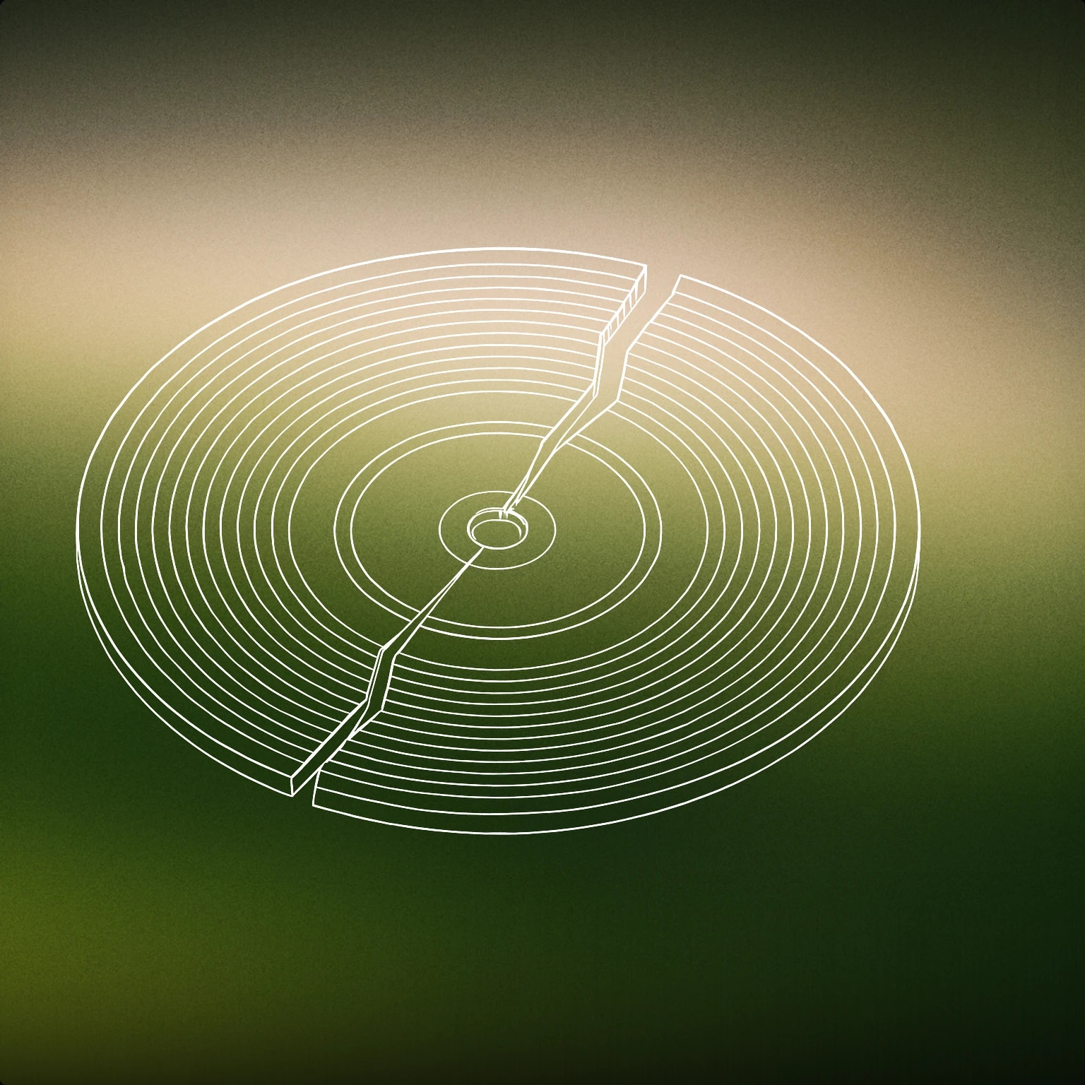 Cover of a broken vinyl record with a visible crack through its center for Wrong sound effects