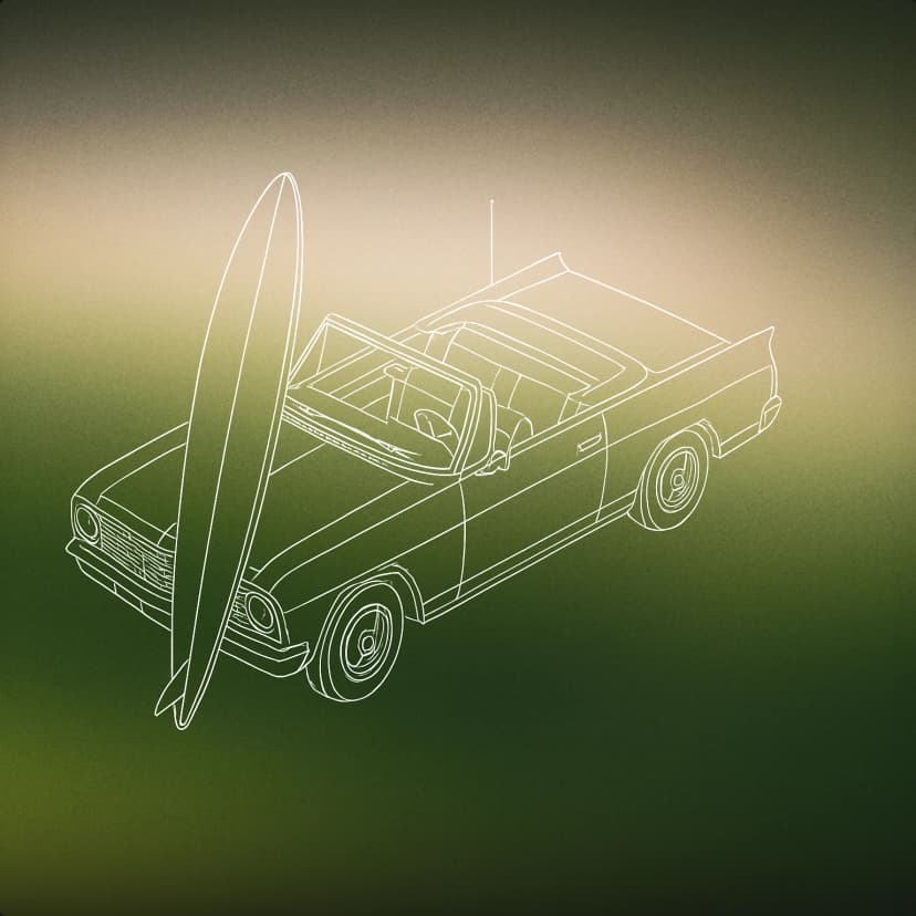 california surfer dude