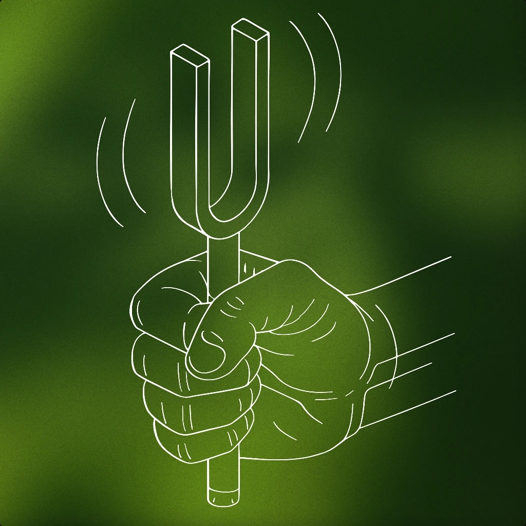 Cover image for Intense voice library collection